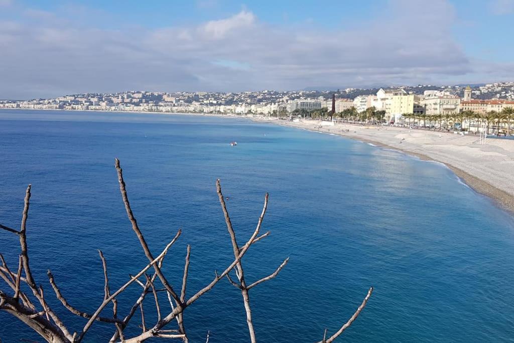 Studette En Plein Coeur Du Vieux Nizza Exterior foto